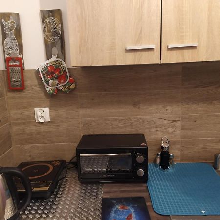 ילנייה גורה Studio Paderewskiego מראה חיצוני תמונה