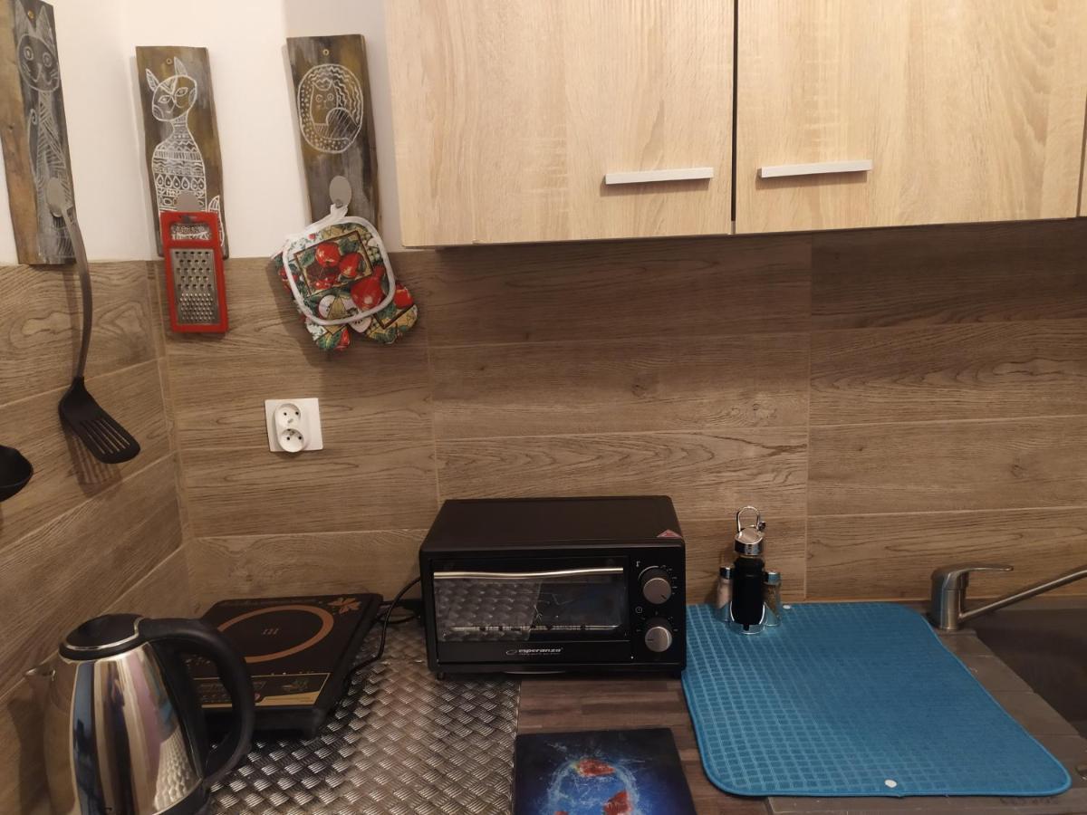 ילנייה גורה Studio Paderewskiego מראה חיצוני תמונה
